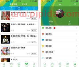 ***app